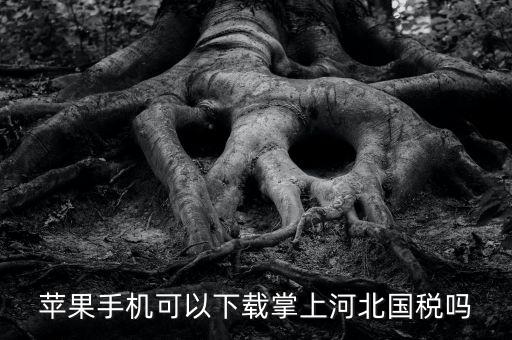 河北掌上國稅如何注冊，蘋果手機(jī)可以下載掌上河北國稅嗎