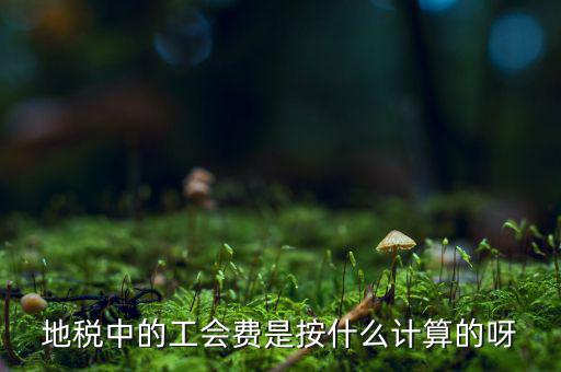 交地稅時的工會經(jīng)費如何計算方法，地稅中的工會費是按什么計算的呀