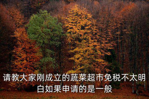 蔬菜免稅如何申請(qǐng)，如何申請(qǐng)蔬菜免稅發(fā)票