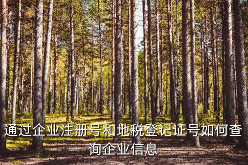 企業(yè)稅務(wù)信息如何查詢，通過企業(yè)注冊號和地稅登記證號如何查詢企業(yè)信息