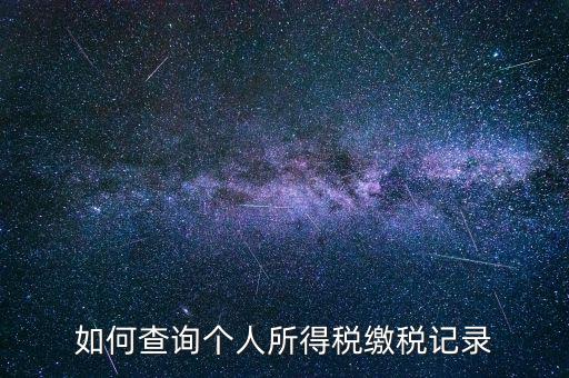 上海地稅局如何查個(gè)人所得稅繳稅記錄，上海市工資個(gè)稅繳納記錄如何查詢
