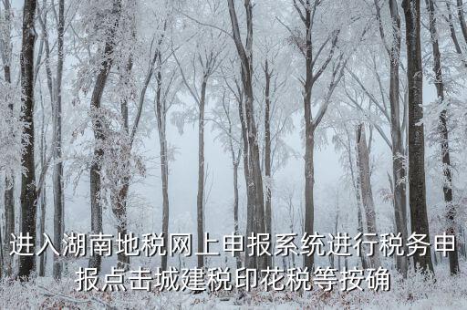 湖南省地稅局個人如何注冊，湖南地稅網(wǎng)上申報系統(tǒng)