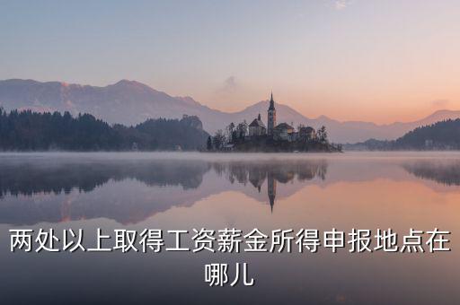 兩處所得如何申報工資，兩處以上取得工資薪金所得申報地點在哪兒
