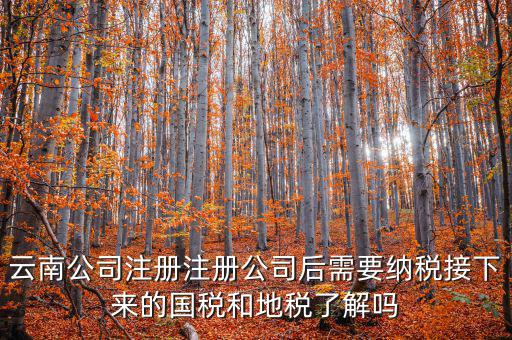云南公司注冊(cè)注冊(cè)公司后需要納稅接下來的國稅和地稅了解嗎