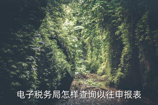 寧波地稅如何查往期申報信息，怎樣查看地稅網(wǎng)上申報記錄