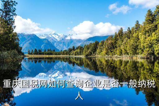如何查詢增值稅一般納稅人資格，重慶國稅網(wǎng)如何查詢企業(yè)是否一般納稅人