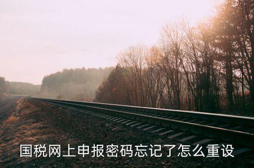 網(wǎng)上稅務(wù)局登錄密碼如何重置，國(guó)稅網(wǎng)上申報(bào)密碼忘記了怎么重設(shè)