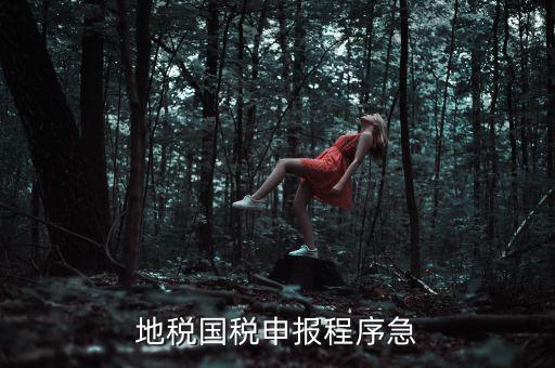 國(guó)稅地稅如何辦理流程，我想知道申報(bào)國(guó)稅地稅的流程包括前期需要什么資料期間如何