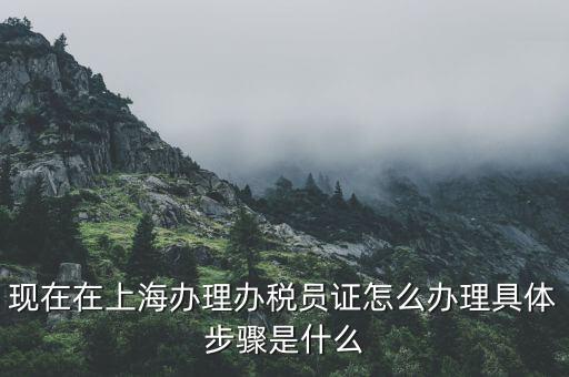 如何成為辦稅員，成為稅務(wù)人員的基本要求是什么