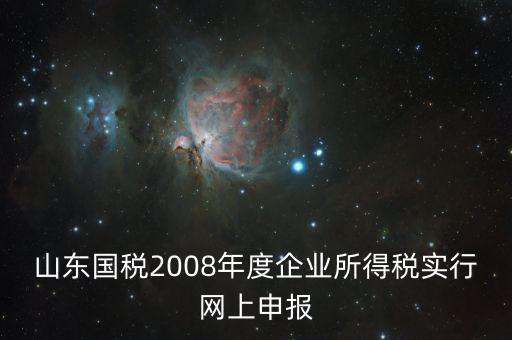 山東國稅2008年度企業(yè)所得稅實(shí)行網(wǎng)上申報