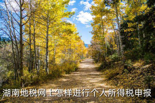湖南地稅網(wǎng)上怎樣進(jìn)行個人所得稅申報