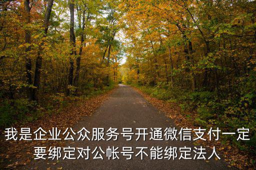我是企業(yè)公眾服務(wù)號(hào)開通微信支付一定要綁定對(duì)公帳號(hào)不能綁定法人