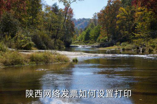 陜西網(wǎng)絡發(fā)票如何設置打印