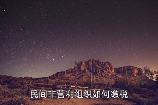 非營利組織如何納稅，民間非營利組織如何繳稅