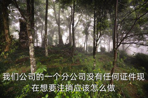 外管證不見了如何注銷，注銷外管證沒帶公司章可以嗎
