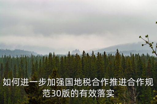 2018年國地稅合作大廳如何工作，地稅信息中心具體做些什么工作