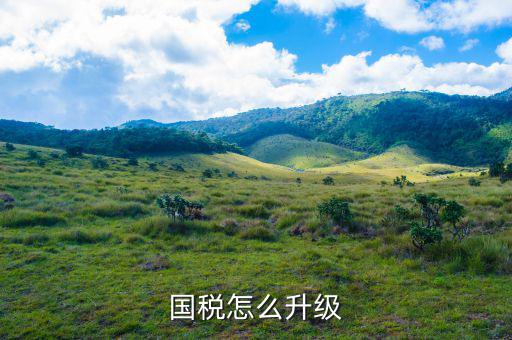 國稅系統(tǒng)如何適應(yīng)新時(shí)代，如何做好新形勢下的國稅工作