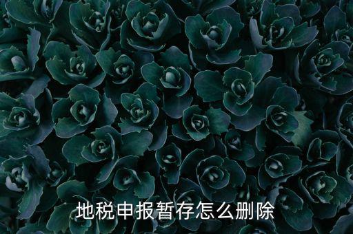 地稅的附加稅如何刪除申報記錄，地稅報表報錯怎樣刪除