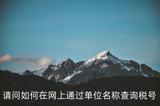 稅號(hào)如何查詢(xún)網(wǎng)站，怎么在網(wǎng)上查企業(yè)稅號(hào)