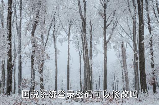 如何修改納稅申報(bào)密碼，金稅三期怎樣修改報(bào)稅密碼