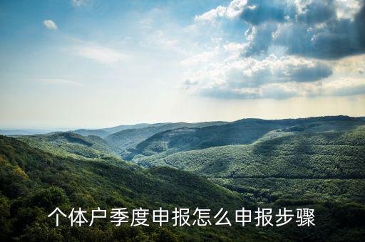 個體戶如何季度申報表，個體戶每個季度怎樣報稅