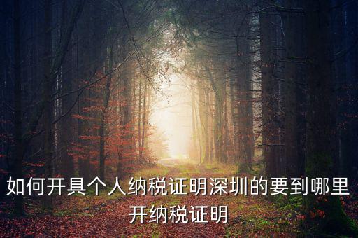 如何開地方稅務局納稅證明，地稅證明怎么開