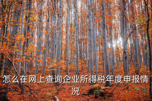 企業(yè)稅務(wù)信息如何查詢(xún)系統(tǒng)，通過(guò)企業(yè)注冊(cè)號(hào)和地稅登記證號(hào)如何查詢(xún)企業(yè)信息
