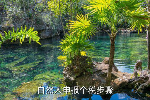 如何使用自然人納稅系統(tǒng)，新辦企業(yè)怎樣登錄自然人電子稅務(wù)局扣繳端