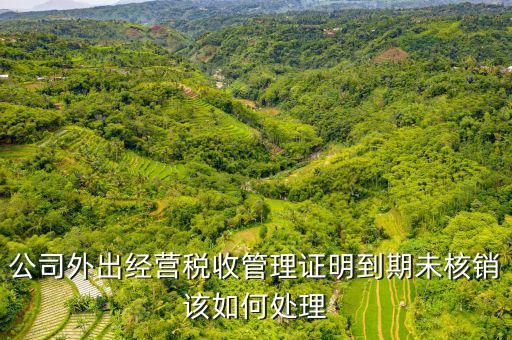 未核銷外經(jīng)證如何查詢，外經(jīng)證有效期在網(wǎng)上怎么查詢
