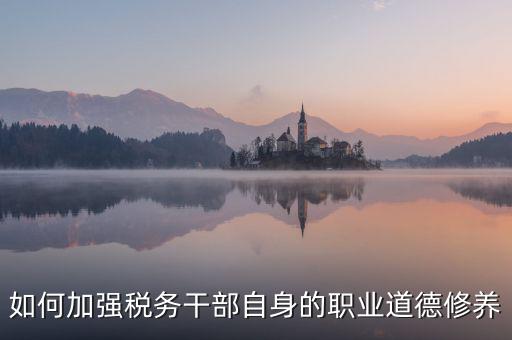 如何加強稅務(wù)干部自身的職業(yè)道德修養(yǎng)