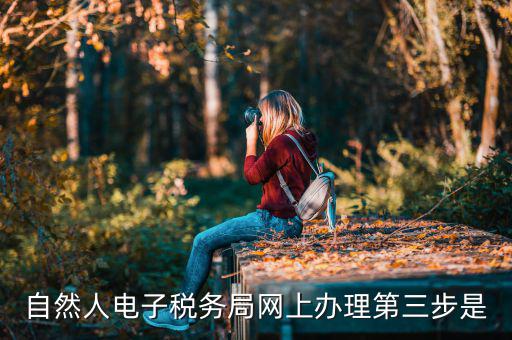 自然人電子稅務局網上辦理第三步是