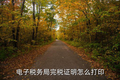 福建省網(wǎng)上稅務(wù)局如何打印，電子稅務(wù)局完稅證明怎么打印