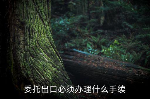 如何開(kāi)具代理出口貨物證明，代理公司在當(dāng)?shù)亻_(kāi)具代理出口貨物證明 請(qǐng)問(wèn)我公司如何