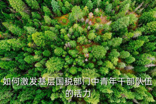 稅務(wù)如何激發(fā)干部活力，如何激發(fā)稅務(wù)干部的創(chuàng)新積極性