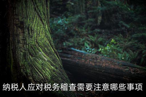 國(guó)稅稽查如何應(yīng)對(duì)聽(tīng)證，怎么應(yīng)對(duì)稅務(wù)局的稅務(wù)稽查