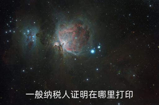 如何打印一般納稅人證明文件，一般納稅人資格認(rèn)定表如何在網(wǎng)上打印文書
