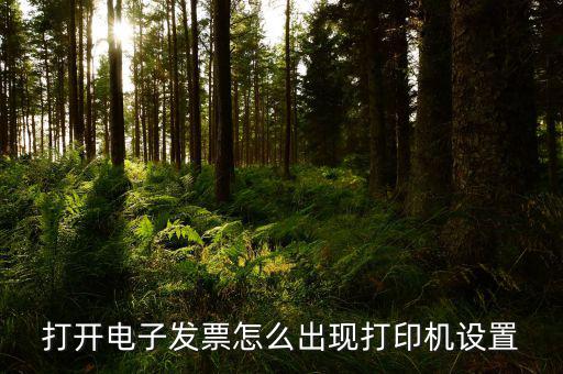 航天電子發(fā)票如何打印機(jī)設(shè)置，打開(kāi)電子發(fā)票怎么出現(xiàn)打印機(jī)設(shè)置