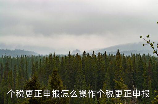福建個人所得稅如何申報更正，個稅申報錯了如何更正