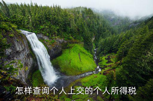 如何查詢個(gè)人稅務(wù)信息，怎樣查詢個(gè)人上交的個(gè)人所得稅