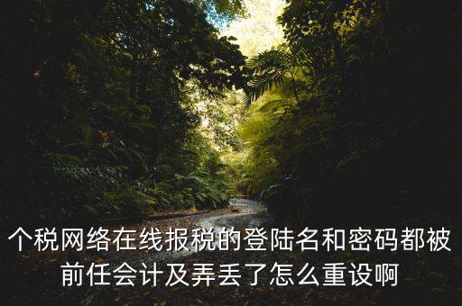 個稅網(wǎng)絡在線報稅的登陸名和密碼都被前任會計及弄丟了怎么重設(shè)啊