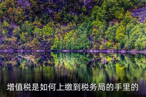 如何在稅務(wù)大廳納稅繳納稅款，在稅務(wù)大廳怎么繳納已申報(bào)稅款