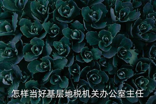 稅務(wù)部門如何抓好主體責(zé)任，如何做好稅收法規(guī)工作