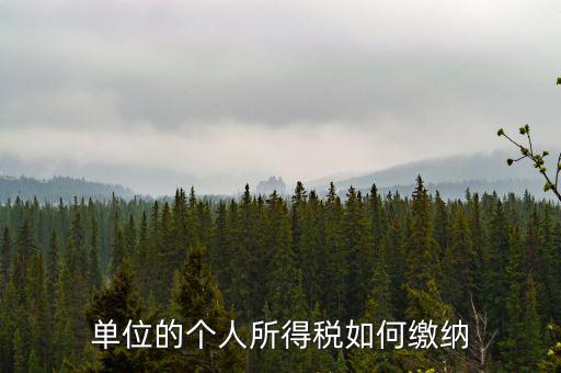 企業(yè)個人所得稅如何繳納，私營企業(yè)職工個人所得稅如何繳納
