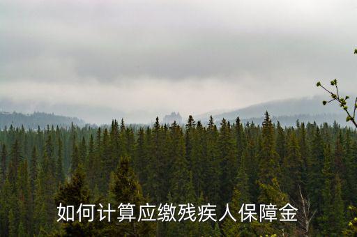 如何計算應繳殘疾人保障金