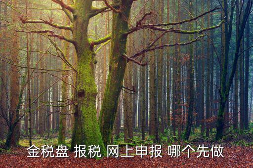 金稅盤 報稅 網上申報 哪個先做