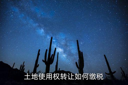 土地使用權轉(zhuǎn)讓如何繳稅