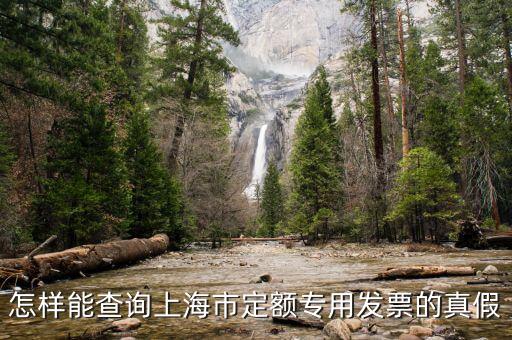 如何查詢上海市發(fā)票真?zhèn)尾樵?，上海發(fā)票真?zhèn)尾樵?/></a></span><span id=