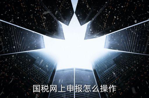 福建省國(guó)稅所得稅如何登入申報(bào)，福建省國(guó)稅申報(bào)相關(guān)問(wèn)題