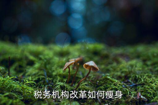 稅務(wù)改革期間如何作到兩不誤，關(guān)于稅改的問題
