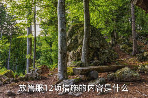 在放管服中如何加強(qiáng)審計(jì)稽察，放管服12項(xiàng)措施的內(nèi)容是什么